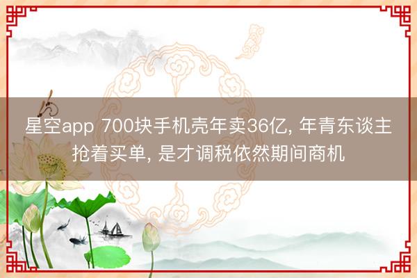 星空app 700块手机壳年卖36亿， 年青东谈主抢着买单， 是才调税依然期间商机