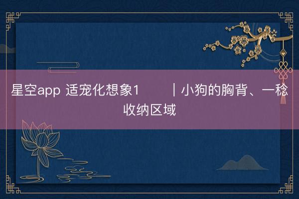 星空app 适宠化想象1️⃣｜小狗的胸背、一稔收纳区域