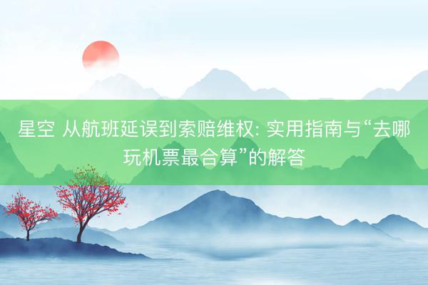 星空 从航班延误到索赔维权: 实用指南与“去哪玩机票最合算”的解答