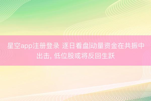 星空app注册登录 逐日看盘|动量资金在共振中出击， 低位股或将反回生跃