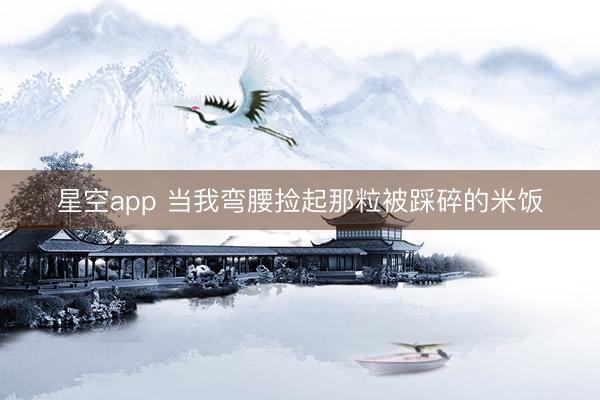 星空app 当我弯腰捡起那粒被踩碎的米饭