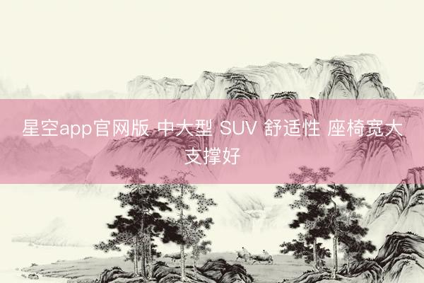 星空app官网版 中大型 SUV 舒适性 座椅宽大支撑好