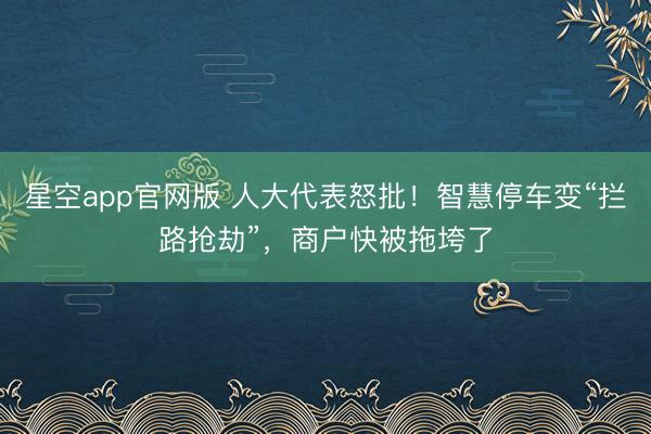星空app官网版 人大代表怒批！智慧停车变“拦路抢劫”，商户快被拖垮了