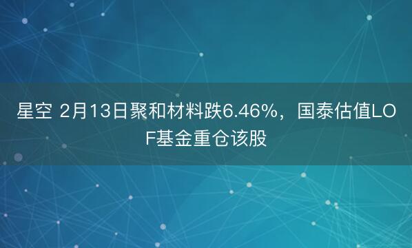 星空 2月13日聚和材料跌6.46%，国泰估值LOF基金重仓该股