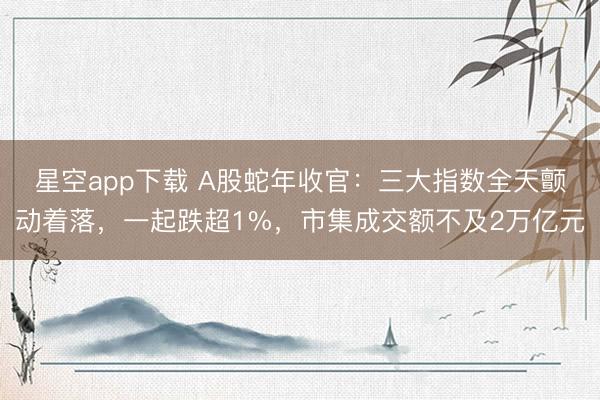 星空app下载 A股蛇年收官:三大指数全天颤动着落,一起跌超1%,市集成交额不及2万亿元