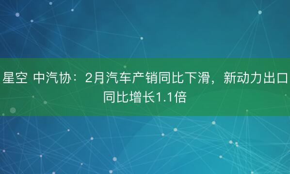 星空 中汽协：2月汽车产销同比下滑，新动力出口同比增长1.1倍