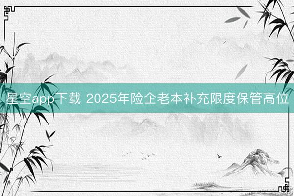 星空app下载 2025年险企老本补充限度保管高位