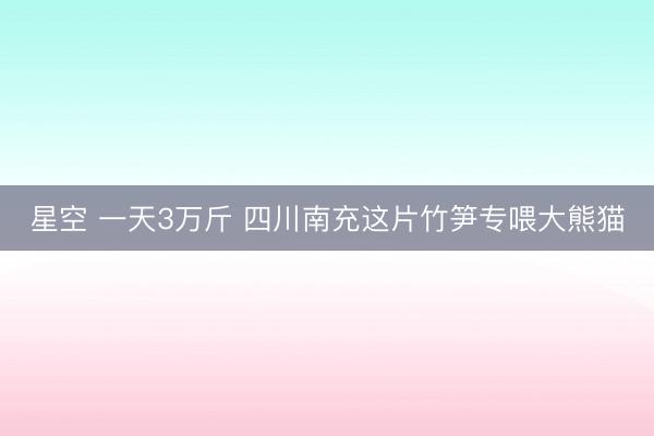 星空 一天3万斤 四川南充这片竹笋专喂大熊猫