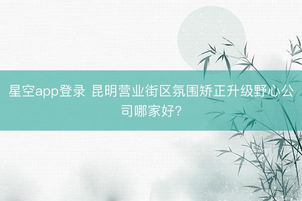 星空app登录 昆明营业街区氛围矫正升级野心公司哪家好?