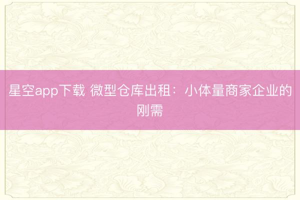 星空app下载 微型仓库出租：小体量商家企业的刚需
