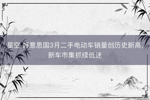 星空 好意思国3月二手电动车销量创历史新高，新车市集抓续低迷